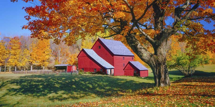 Vermont