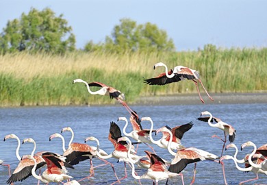 Premium Rhône Cruise